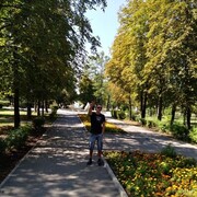 ���������� ����������, ���� ������� ���������, 41 ���, ������������ ��� ������, ����� � ���������