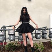 ���������� �����-���������, ���� ������� ���, 20 ���, ������������ 