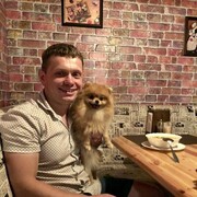 ���������� ����, ���� ������� ����������, 43 ����, ������������ ��� ������, ����� � ���������