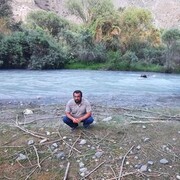 ���������� ������, ���� ������� ������, 46 ���, ������������ ��� ������, ����� � ���������