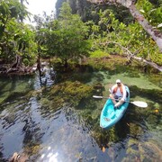 ���������� �����������, ���� ������� �����, 41 ���, ������������ ��� ������, ����� � ���������, c�������� ���������