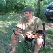   ,   TARAS, 55 ,   ,   , c 