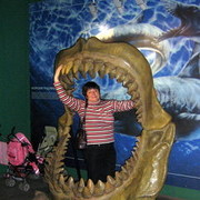 ���������� �����-���������, ���� ������� ����, 61 ���, ������������ ��� ������, ����� � ���������, c�������� ���������