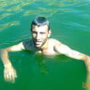  ,   MIQ099772166, 37 ,   ,   , c 