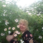  ,   , 71 ,   ,   , c 