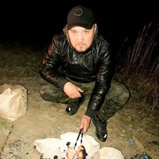 ���������� ������, ���� ������� ���������, 38 ���, ������������ ��� ������, ����� � ���������, c�������� ���������