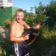  ,   Petrovych, 38 ,  