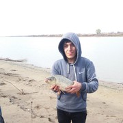  ,  xasan, 29