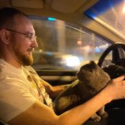 ���������� �����-���������, ���� ������� ���������, 38 ���, ������������ ��� ������, ����� � ���������, c�������� ���������