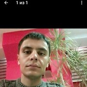  ,  ANO, 36