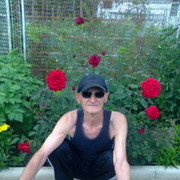  ,   , 74 ,  