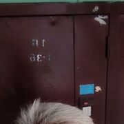  ,   , 55 ,   ,   