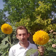  ,   , 50 ,   ,   , c 