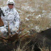 ���������� ����, ���� ������� �����, 54 ����, ������������ ��� ������, ����� � ���������, c�������� ���������