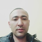 ���������� ������, ���� ������� Shuxrat, 35 ���, ������������ ��� ������, ����� � ���������, c�������� ���������, ���������