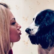 ���������� ������, ���� ������� ���������, 37 ���, ������������ ��� ���������