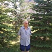  ,   Igor, 65 ,     , c 
