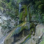 ���������� ����, ���� ������� �������, 38 ���, ������������ ��� ������