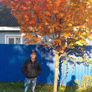  -,   , 41 ,   ,   , c 