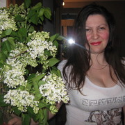  ,   , 41 ,   ,   , c 