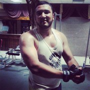  ,   Sultan, 31 ,   ,   , c , 