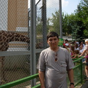  ,   Shakir, 43 ,   ,   , c 