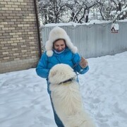 ���������� �����, ���� ������� ���������, 71 ���, ������������ ��� ����� � ���������, c�������� ���������