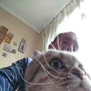  ,   , 49 ,   ,   , c 