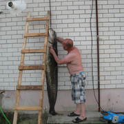  ,   , 51 ,   ,   , c 
