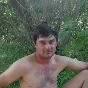  ,  , 44