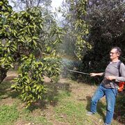 ���������� ����, ���� ������� �����, 49 ���, ������������ ��� ������, ����� � ���������