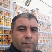  ,    , 38 ,   ,   , c 