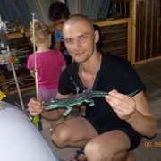  ,   , 41 ,   