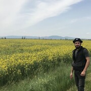 ���������� �����������, ���� ������� �����, 34 ����, ������������ ��� ������, ����� � ���������, c�������� ���������