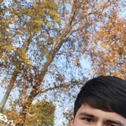 ���������� ����������, ������� ����, 26