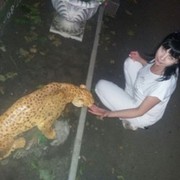 ���������� �����������, ���� ������� ����, 46 ���, ������������ 