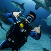 ���������� ������, ���� ������� Lawrence, 33 ����, ������������ ��� ������, ����� � ���������