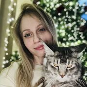 ���������� ����, ���������