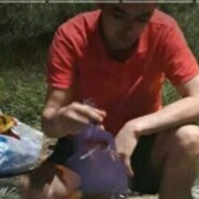  -,   , 42 ,   ,   