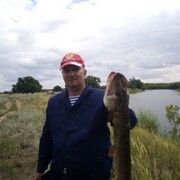 ���������� ���������, ���� ������� ���������, 52 ����, ������������ ��� ������, ����� � ���������