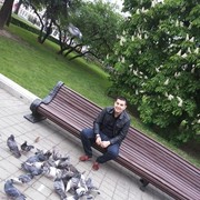  -,  Dik, 43