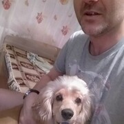  ,   , 41 ,   c 