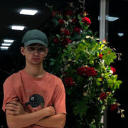 ���������� �������, ���� ����� ����, 19 ���, ������������ ��� ����� � ���������, c�������� ���������