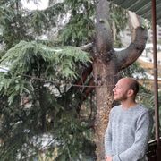 ���������� �������, ���� ������� Luka, 29 ���, ������������ ��� ������, ����� � ���������