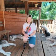 ���������� �������, ������� �����, 23