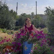 ���������� ��������, ���� ������� ������, 65 ���, ������������ ��� ����� � ���������, c�������� ���������