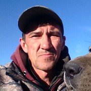 ���������� �����������, ���� ������� �����, 48 ���, ������������ ��� ����� � ���������, c�������� ���������, ���������