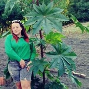 ,   , 27 ,   ,   , c 