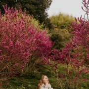 ���������� ������, ���� ������� ��������, 36 ���, ������������ ��� ������, ����� � ���������, ���������