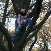 ���������� ���������, ���� ������� ����, 29 ���, ������������ ��� ������, ����� � ���������, c�������� ���������